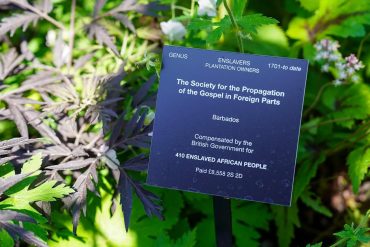 Lee Sharrock en conversation avec Zak Ové