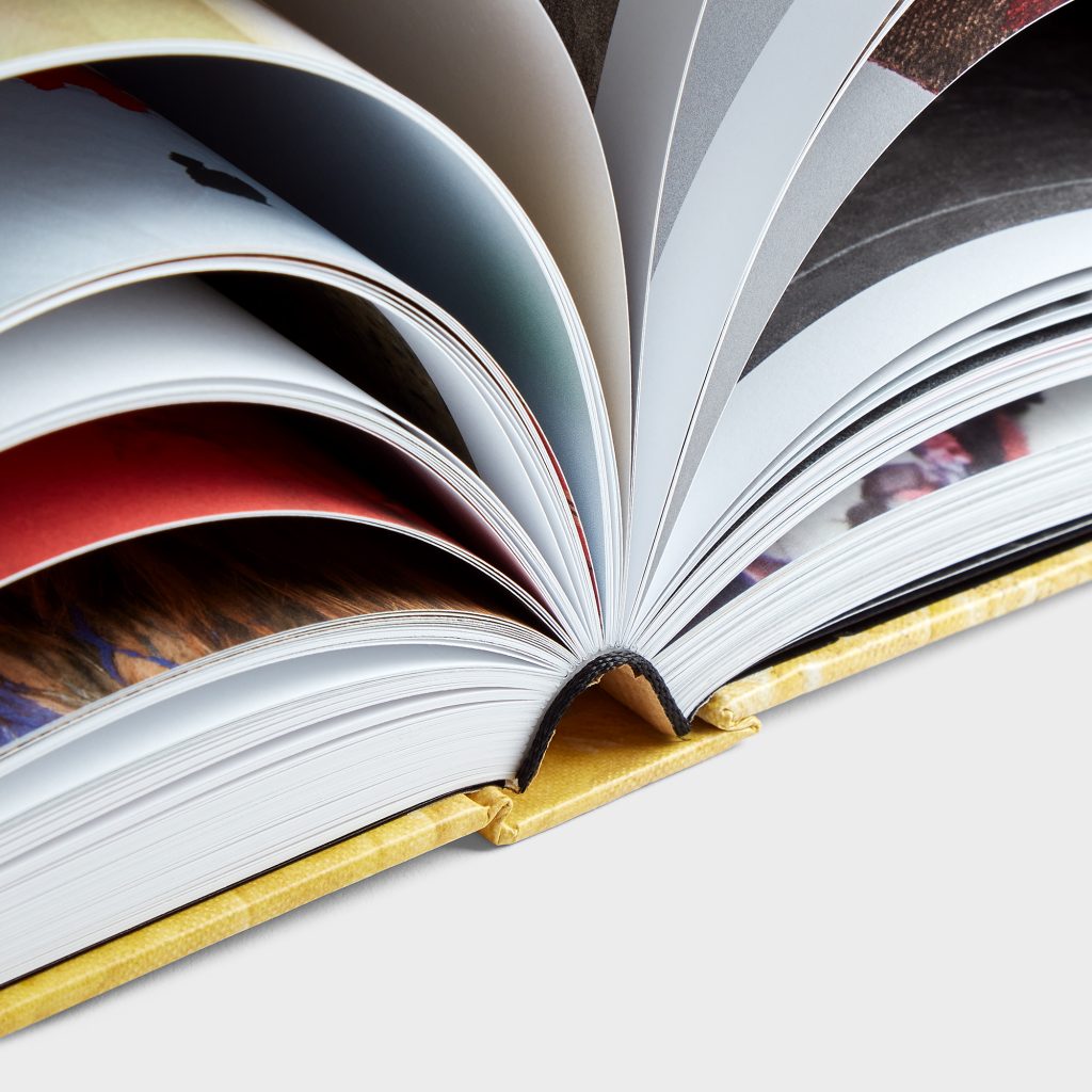 Sortie de Livre: David Hammons, David Hammons, Hauser & Wirth