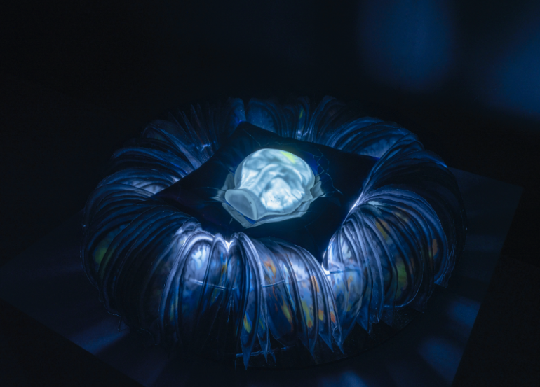 Lighten Up, MIT Museum, Lighten Up! On Biology and Time